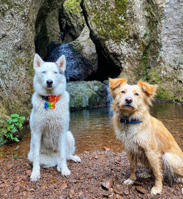 Renn Ochoa, Nova y Chelsea