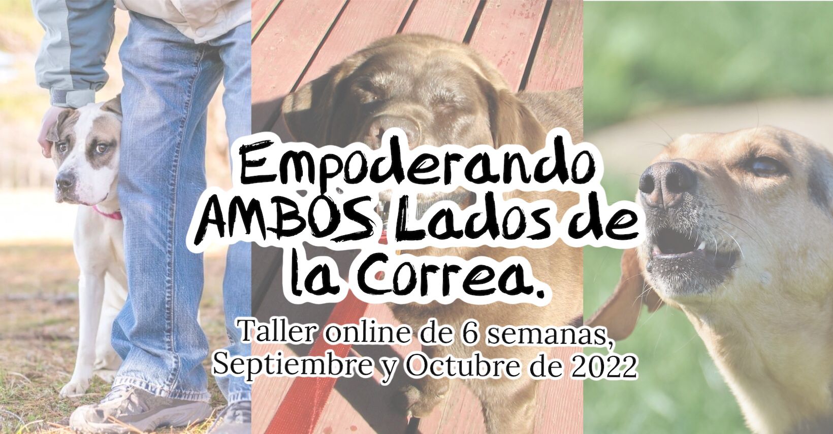 empoderando ambos lados de la correa